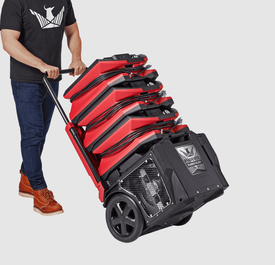 phoenix drymax with white background and a man pushing it like a cart