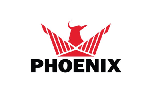 Why Phoenix Restoration Equipment Outperforms the Competition