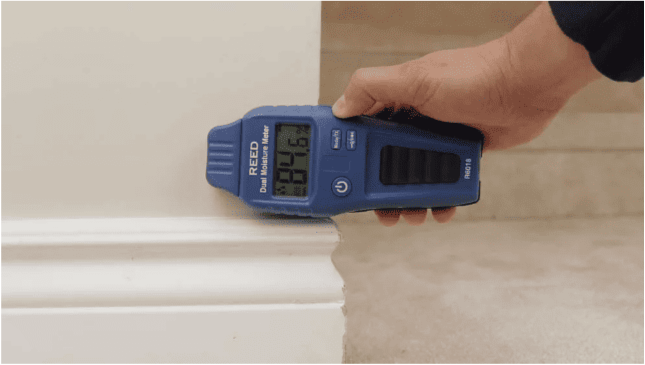Hand holding a blue r6018 moisture meter against a white baseboard.