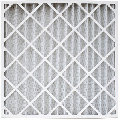 XPOWER AP-1800D pleated filter